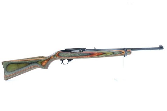 Ruger 10/22 Rifle