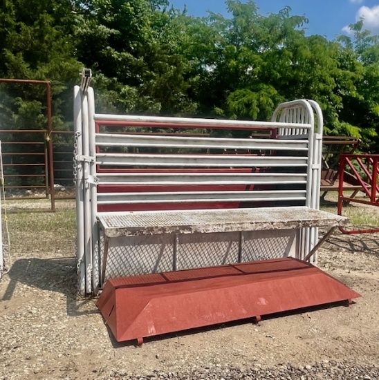 Bull Bucking Shoot
