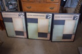 lot of 3 pictures