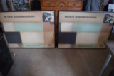 lot of 2 pictures