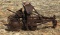 Horse Drawn Planter