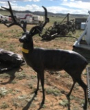 Deer Bronze Statue
