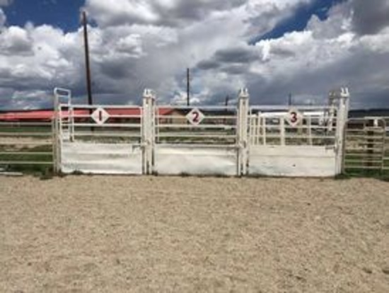 (3) BUCKING CHUTES