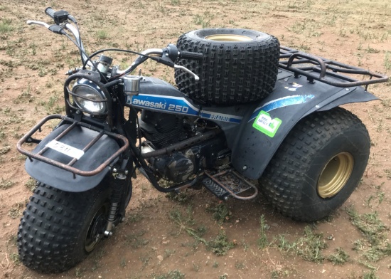 KAWASAKI 250 PRAIRE 3-WHEELER