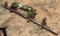 TOOL BAR