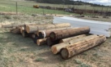 (19) CUT TELEPHONE POLES