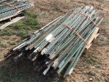 (100) 8' T-POST