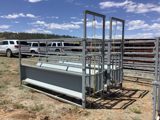 2W Roping Alley