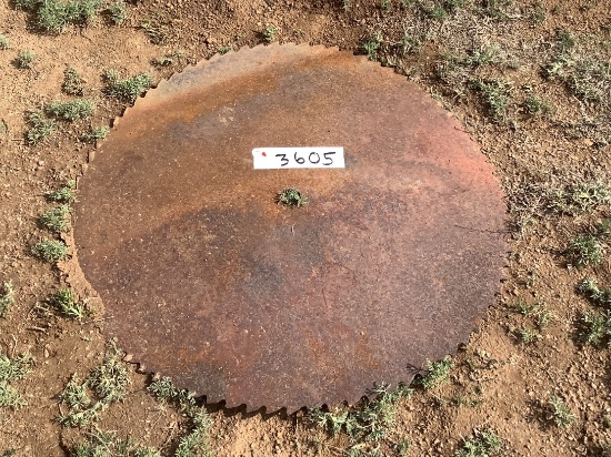 30" Buzz Saw Blade