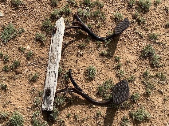 (2) Buggy Steps