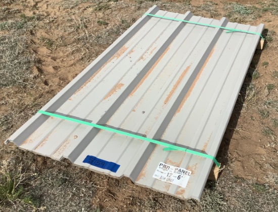 (12) 6 Ft PBR Panel Tin