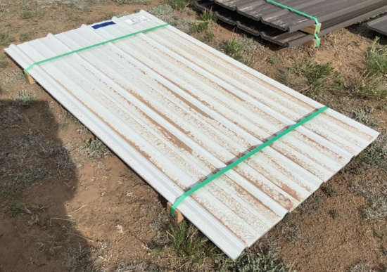 (10) 6 Ft Ag-Panel Tin