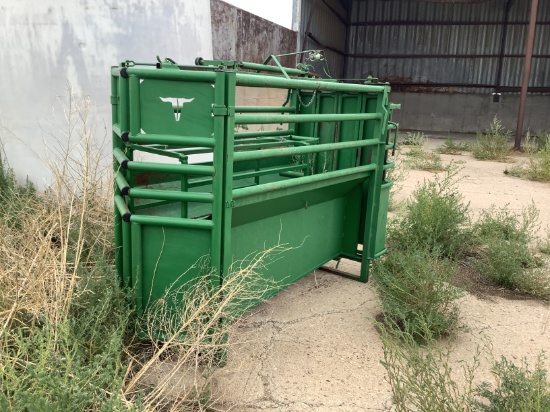 Electronic Roping Chute