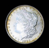 1886 SILVER MORGAN DOLLAR COIN GRADE GEM MS BU UNC MS++++ COIN!!!!