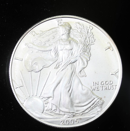 2005 1oz .999 FINE SILVER AMERICAN EAGLE COIN