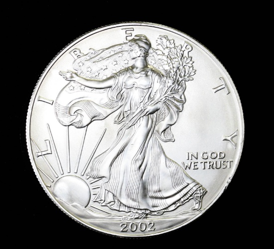 2002 1oz .999 FINE SILVER AMERICAN EAGLE COIN