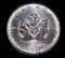 2000 CANADA 1oz .9999 FINE SILVER COIN MAPLE LEAF PRIVY