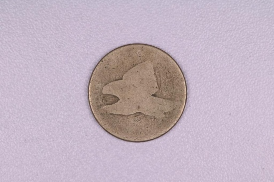 NO DATE FLYING EAGLE CENT US COIN