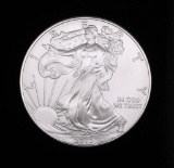 2010 1oz .999 FINE AMERICAN SILVER EAGLE COIN