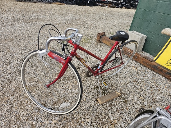 Schwinn Girls Bike