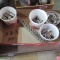 misc sockets