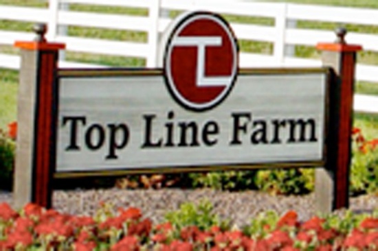 Dispersal of Top Line Farm Machinery, Equip Cattle