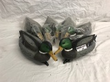 (6) New Ducks