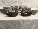 (10) New Ducks