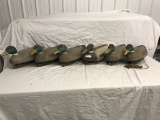 (6) Ducks