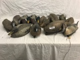 (12) Ducks