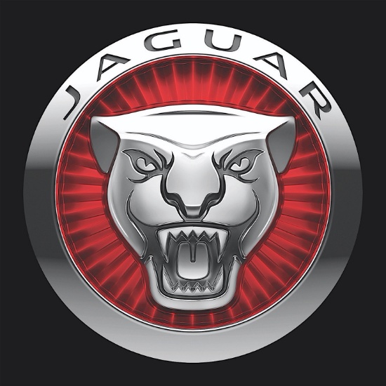 Jaguar lacquered panel