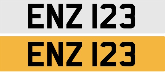 Registration Number ENZ 123