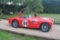 1955 Austin-Healey 100M FIA Race Car