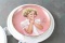 Precious SHIRLEY TEMPLE Danbury Mint Collector Plate 1995 with COA