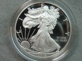 2010 American Eagle Proof Silver Eagle - Beautiful Coin - Certified by US Mint - In case & box
