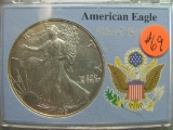 1999 American Eagle in protective case - .999% Pure Silver