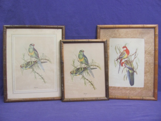 3 Framed Bird Prints – 2 by John Gould – Largest Frame is 10 3/4” x 8 3/4”
