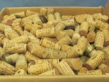 Wine Bottle Corks – Used – Some With Plastic Top – Box is Full – 12 ½ x 13 x 13 Inches