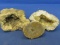Geodes: “3 Different Types”  – 1 1/2” Across to 3” Across