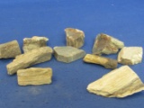 10  Pieces of Petrified Wood 1-1 1/2”