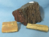 3 Pieces of Petrified Wood  -  1 1/2” L , 2 3/4” L & 4” x 2 1/2” x 3” Tall