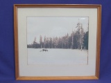 Framed Sepia Photograph – Moose w Calf – Wood Frame is 13 1./2” x 12”