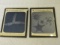 2 Vintage Slides of Starfish – Special Varieties of & one Holding to side of Glass with suction disk