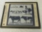 Vintage Slide of Animals: Rats, Dogs, Chickens, Cows