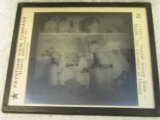 Vintage Slide of Horses in a Lab setting – looks like they are restrained for specimen collection
