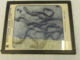 Vintage Slide of Earth Worms