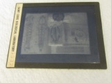 Vintage Slide of Grasshopper Eyes, Mouth, Tongue & 2 Section diagrams of the body
