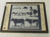 Vintage Slide of Animals: Rats, Dogs, Chickens, Cows