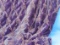 Deep Purple Throw with Rosette Design “Thro by Marlo Lorenz” - Measures 60” x 48”