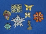 Mixed Lot of Pins/Brooches: Some Vintage, some Newer – 1 by Napier – Poodle, Butterflies
